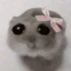 REAÇÕES DE ANIMAIS 11