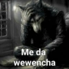 Lobo solirario 🐺 | meme 21