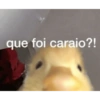 que foi caraio?!