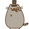 Gatinho fofo 10
