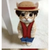 ANIME ANOMALI  13