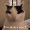 Pa tu 23