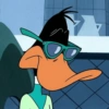 Patolino 8