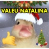 VALEU NATALINA