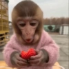 Клубничный сюрприз