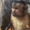 Недовольный взгляд
