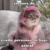 Hoy es viernes de... 17