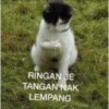 Cat meme 3 9