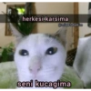 herkesi karsima @miawlabakim seni kucagima @cursedcatson