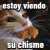 Gatos Pal grupo👑 24