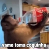 🐒 Macaco Engraçado  16