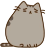 Gatinho fofo 13