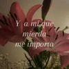 Memes Sin Sentido🥴🫧  15
