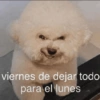 Hoy es viernes de... 5