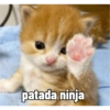 Michis 🤭😺💯 8