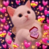 ✨️💖🐱 AMOR | GATOS 🐱💖✨️ 9