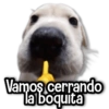 Vamos cerrando la boquita