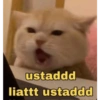 ustaddd liattt ustaddd