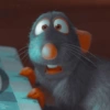 Ratatouille moods 🐀👨‍🍳 6