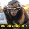 eu ouvi bem?