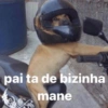 Cachorros que você deve usar 8