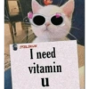 Cattiesays 😺🐈 26