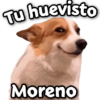 Tu huevisto ecisectove Stickers Moreno