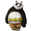 Kung fu panda 13