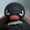 Pingu. | @ocenferios  Haki. 7