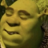 🏰🟢 SHREK MOODS 🟢🏰 15