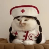 Kucing Cosplay 5
