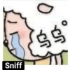 🧿Ovejita Zhihu🐑🐑 17
