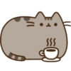 Gatinho fofo 21