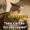 O QUÊEEEEE *seu cartão foi recusado*