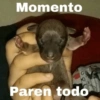 Reacciones Random 😭 13