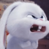 Snowball 🐇 26