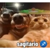 sagitário