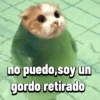 Gatos Pal grupo👑 20