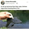 Meme twit  17