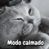 Gatitos para el chat🐾💬🐈🐈‍⬛ 14