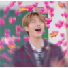 K-pop love 12