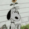 🐾Snoopy enojado 😡 2 🦴 14