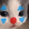 Cats (2/4) 26