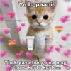 Meow Memes 😾 25
