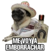 Perritos 22
