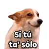 eciseclove Stickers si tú ta' sólo