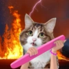 Emoções(ou nao) de um gato 11