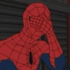 Memes homem aranha 11