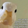 Memes Sin Sentido 3🥴🫧  12