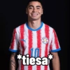 Vamos Paraguay! 5 ❤️🇵🇾✨ 13